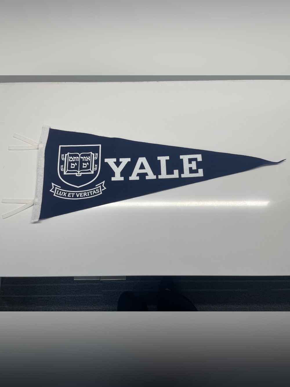 🚩 Yale University Navy & White Pennant 🚩